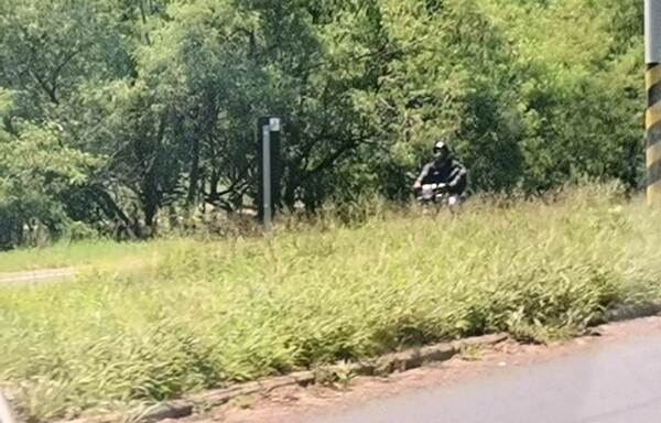 La Autopista Silvio Pettirossi muestra un aspecto desolador •