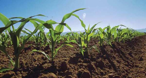 El campo prioriza la adopción de buenas prácticas agrícolas