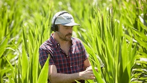 Encuentro de tecnología agrícola se realiza en el Alto Paraná - MarketData