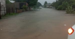 Concepción: las inundaciones y su impacto en la ganadería | 1000 Noticias