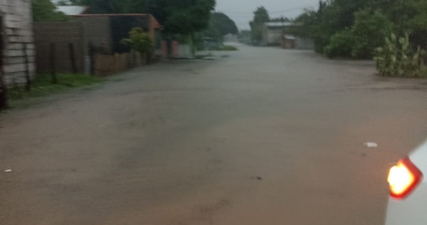 Concepción: las inundaciones y su impacto en la ganadería | 1000 Noticias