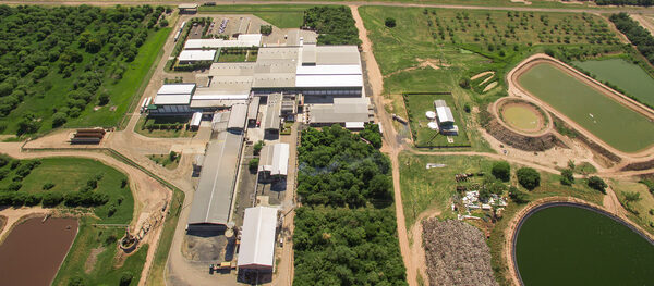 La Cooperativa Chortitzer Limitada, reinaugura su frigorífico en Loma Plata con una inversión de US$ 25 millones - Revista PLUS