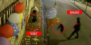 [VIDEO] ¡No se salva nadie! Así asaltaron a un pobre firulais que quedó “sin techo”