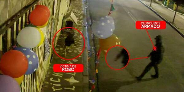 [VIDEO] ¡No se salva nadie! Así asaltaron a un pobre firulais que quedó “sin techo”