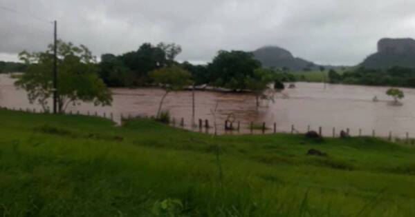 La Nación / Inundaciones: advierten sobre posible impacto en abastecimiento de hacienda a frigoríficos