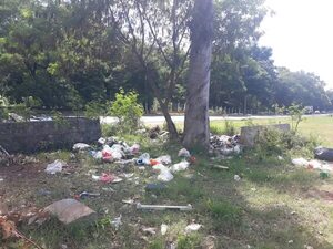 Chikunguña: Senepa interviene en Asunción y Central - Nacionales - ABC Color