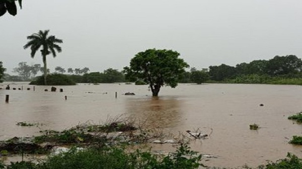 Puerto Diana se encuentra en crítica situación debido a inundaciones - Noticias Paraguay