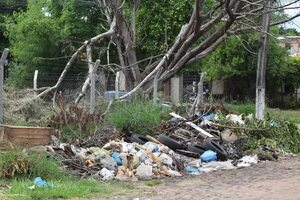 Denuncian floja campaña de contingencia ambiental para prevenir casos chikunguña en Luque - Nacionales - ABC Color