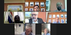Senadores seguirán con la virtualidad por la campaña electoral - Política - ABC Color