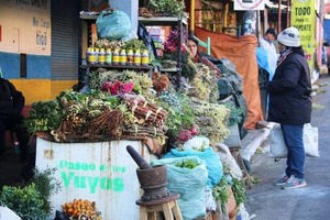 Remedios refrescantes para la chikungunya | 1000 Noticias