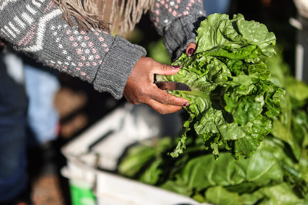 Los ingresos de divisas a Argentina por la exportación de agro caen un 74 % en febrero - MarketData