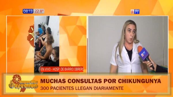 Chikungunya: Barrio Obrero reporta diariamente 240 infectados