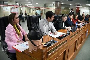 Municipalidad de Asunción: aprueban nueva emisión de bonos por G. 195.000 millones para pagar deudas - Nacionales - ABC Color