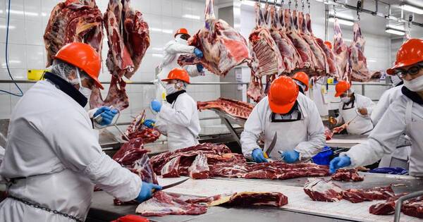 La Nación / En febrero, el complejo cárnico registró un aumento del 7,3% en las exportaciones