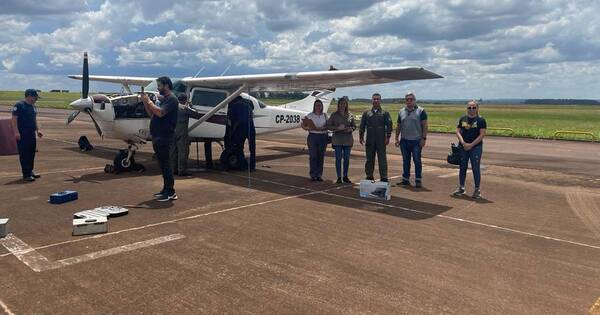 La Nación / Fiscalía entregó a Senabico aeronave incautada en Hernandarias con 265 kilos de cocaína