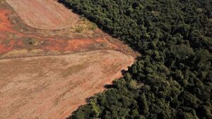 La deforestación reduce las precipitaciones en los trópicos