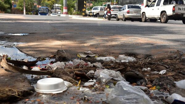 Criaderos: Oasis de mosquitos incluso cerca de Municipalidad