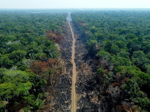La deforestación reduce las precipitaciones en los trópicos