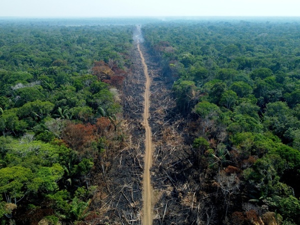 La deforestación reduce las precipitaciones en los trópicos