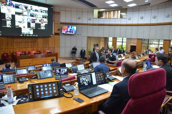 Diario HOY | Senado mantendrá sesiones virtuales “por la chikunguña y las elecciones”