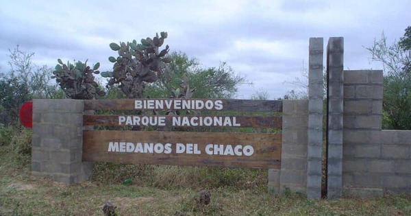Coalición por los Bosques pide el rechazo del proyecto que pone en riesgo a Médanos del Chaco