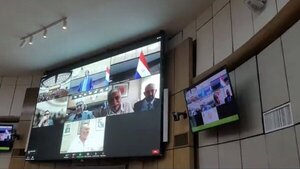 Luego de seis meses, Fernando Lugo reaparece para sesionar de forma virtual en el Senado