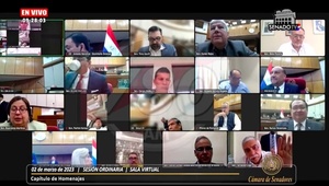 Lugo participó de sesión del Senado de forma virtual - El Trueno