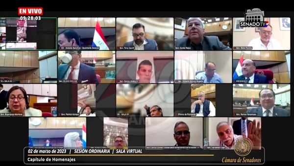 Lugo participó de sesión del Senado de forma virtual - El Trueno