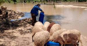 La Nación / Intensas lluvias dañan proyecto PIMA del MAG en el Chaco