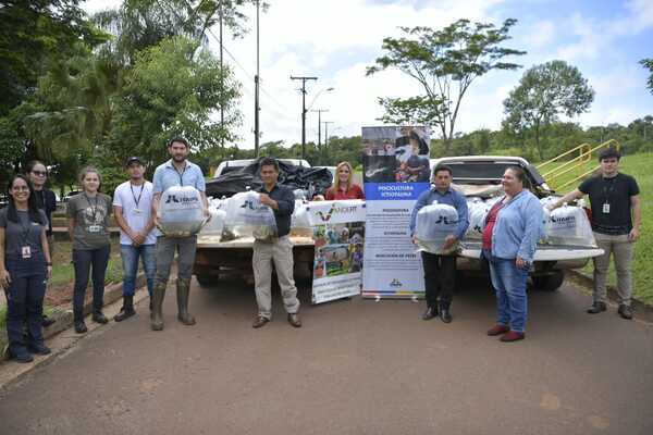 Entregan 6.000 alevines a pequeños productores para promover seguridad alimentaria - .::Agencia IP::.