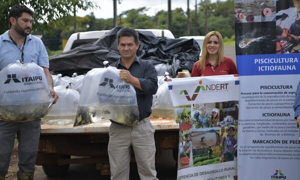 Entregan 6.000 alevines a pequeños productores del Alto Paraná