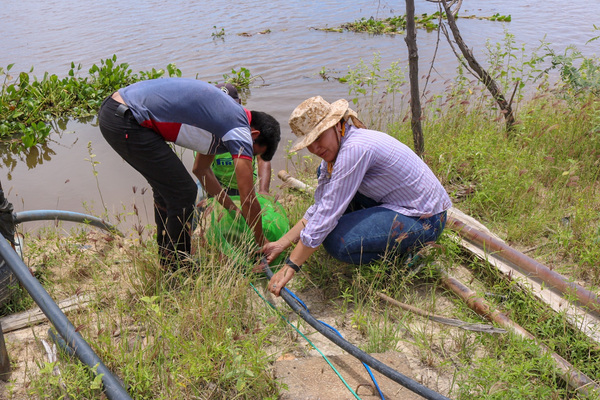 Facilitan el acceso al agua potable mediante la instalación de sistema de bombeo y paneles solares en Puerto Esperanza