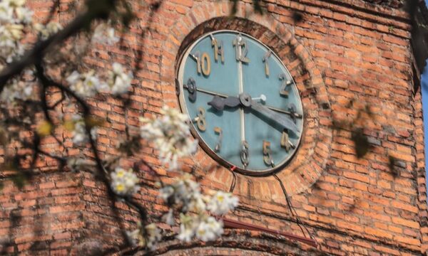 Senado rechazó proyecto de horario de verano