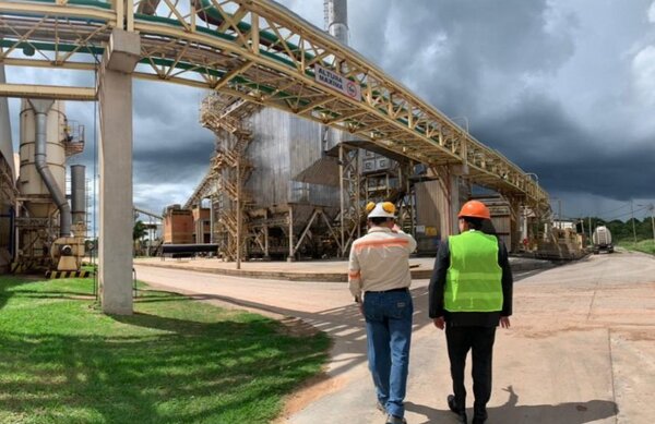 Industria aceitera nacional sixtuplicó su producción en los últimos 20 años - MarketData