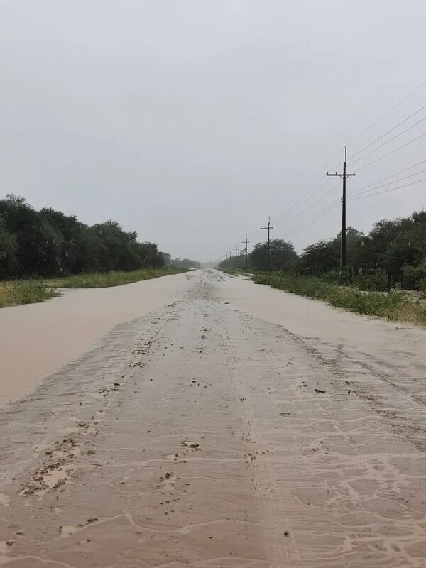 Abundante lluvia en el Chaco renueva la esperanza al sector agropecuario - Noticias del Chaco - ABC Color
