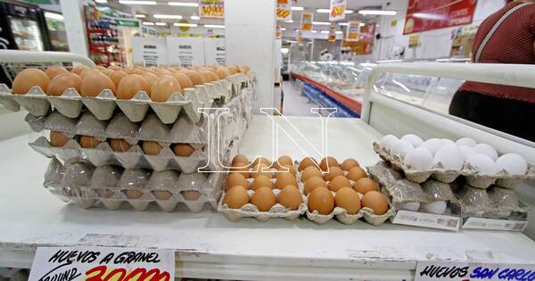 La Nación / Encarecimiento de huevos se da por varios factores, al margen del posible ingreso de gripe Aviar, dicen