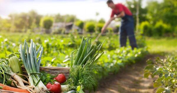 La Nación / Productores de Itapúa solicitan vender a supermercados sin intermediarios