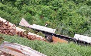 Carreta cargada con leña se desprendió y cayó al precipicio