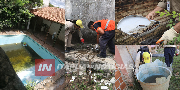 35 CASOS DE CHIKUNGUNYA Y 8 DE DENGUE ACTIVOS EN EL DEPARTAMENTO DE ITAPÚA - Itapúa Noticias