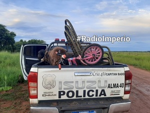 Animales bovinos y objetos robados a un brasileño fueron recuperados por la Policía - Radio Imperio