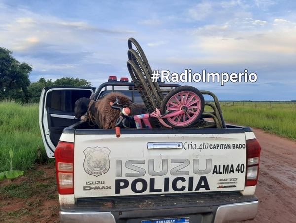 Animales bovinos y objetos robados a un brasileño fueron recuperados por la Policía - Radio Imperio