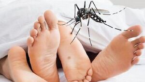 Chikungunya puede llegar a afectar la actividad sexual, dice doctor