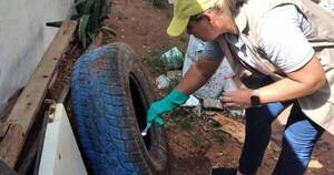 La Nación / El 95% de las casas en Fernando de la Mora tiene criaderos del aedes