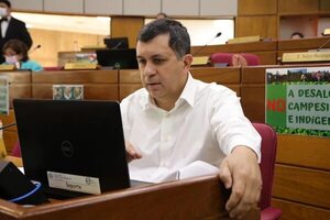 Postergan millonario crédito para AFD en época electoral - Política - ABC Color