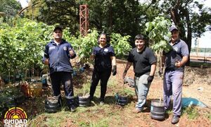 Municipalidad de Ciudad del Este reinicia entrega de mudas de plantas a comunidades – Diario TNPRESS