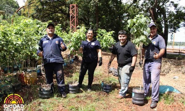 Municipalidad de Ciudad del Este reinicia entrega de mudas de plantas a comunidades – Diario TNPRESS