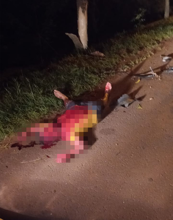 Conductor sobrevive de milagro tras chocar contra un árbol y volcar aparatosamente - La Clave