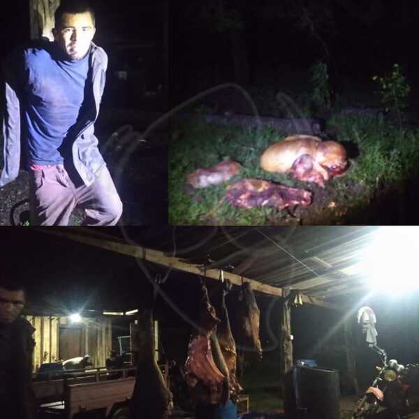 Detuvieron a un sujeto en plena faena de un animal vacuno.