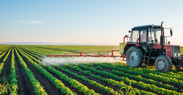 Las importaciones de agroquímicos en el 2022 fueron por US$ 274 millones | 5Días Weekend | 5Días