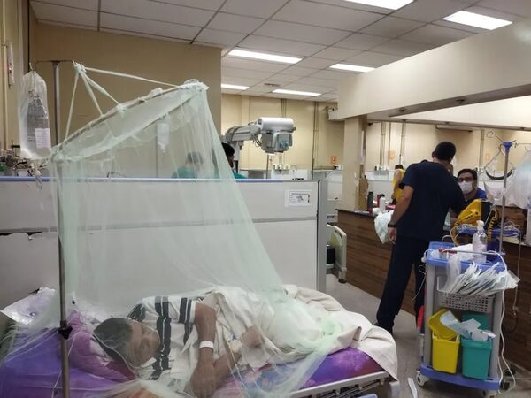 Chikunguña se “dispersa” a nivel país: suman 33 los fallecidos - Nacionales - ABC Color
